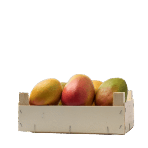 Mango Kalb Al Tour
