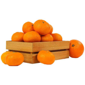 Navel Orange Spain