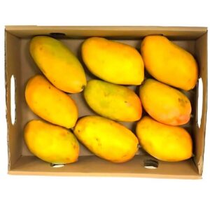 Mango Taymor Yemen