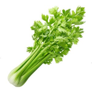 كرفس