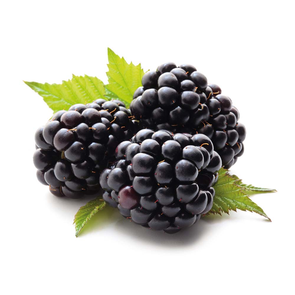 Blackberry Mexico 170g -Grocery near me- Online Store near me- Healthy Snacks- Dessert- Fresh Juices