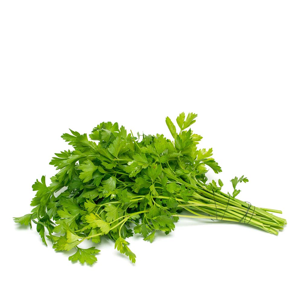 كزبرة الإمارات العربية المتحدة