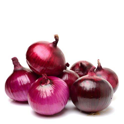 بصل باكستان