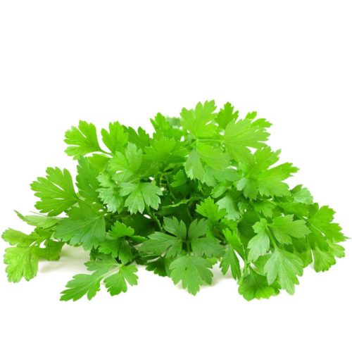 Parsley Leaves UAE 100g- grocery near me- online store near me- fresh vegetable- green veggies- Amazon fresh vegetables, Fresh Parsley UAE, Martoo online grocery shop, online delivery