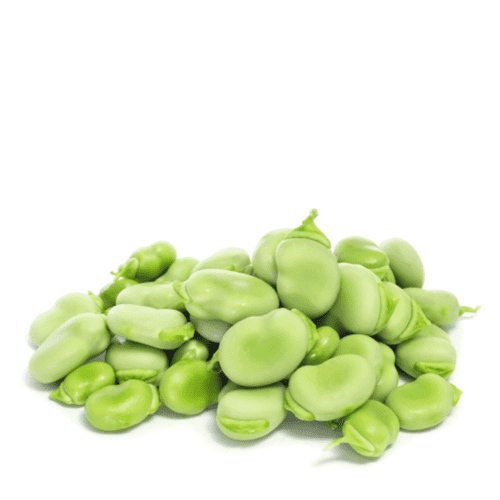 فول حبة كبيرة