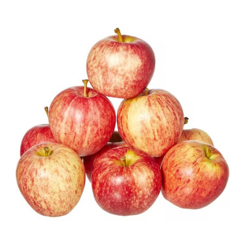 Apple Royal Gala New Zealand - Buy Premium Quality Apple