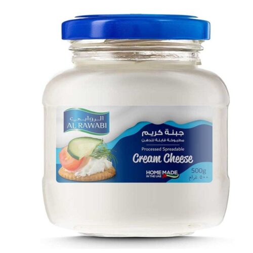 Cream Cheese Spread 500g