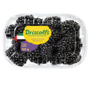 Driscoll's Black berries 125g