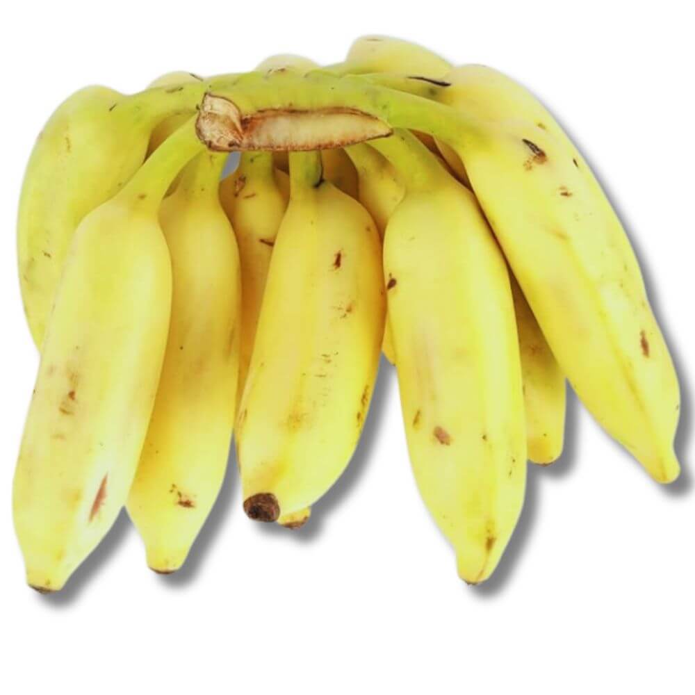 وجبة خفيفة صحية وسريعة بالموز الصغير 500 جرام