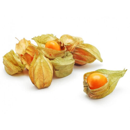 Fresh Golden Berry Colombia - Order Premium Golden Berries
