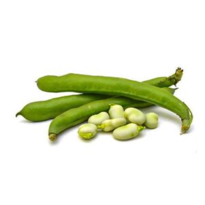 Broad Beans Lebanon 500g