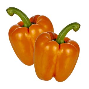 منتجات طازجه في دبى