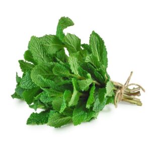 أوراق نعناع ليتو الإمارات