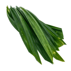 أوراق الباندان هولندا