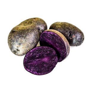 بطاطس أرجوانية هولندا