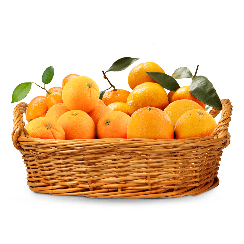 سلة حمضيات الصيف