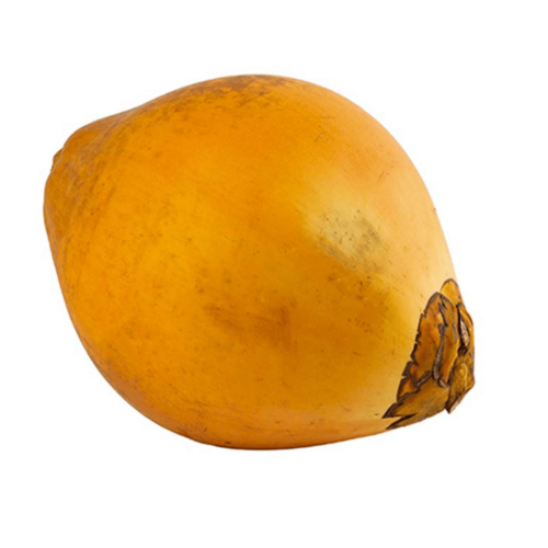 إيزي كوكو جوز الهند الطري سريلانكا