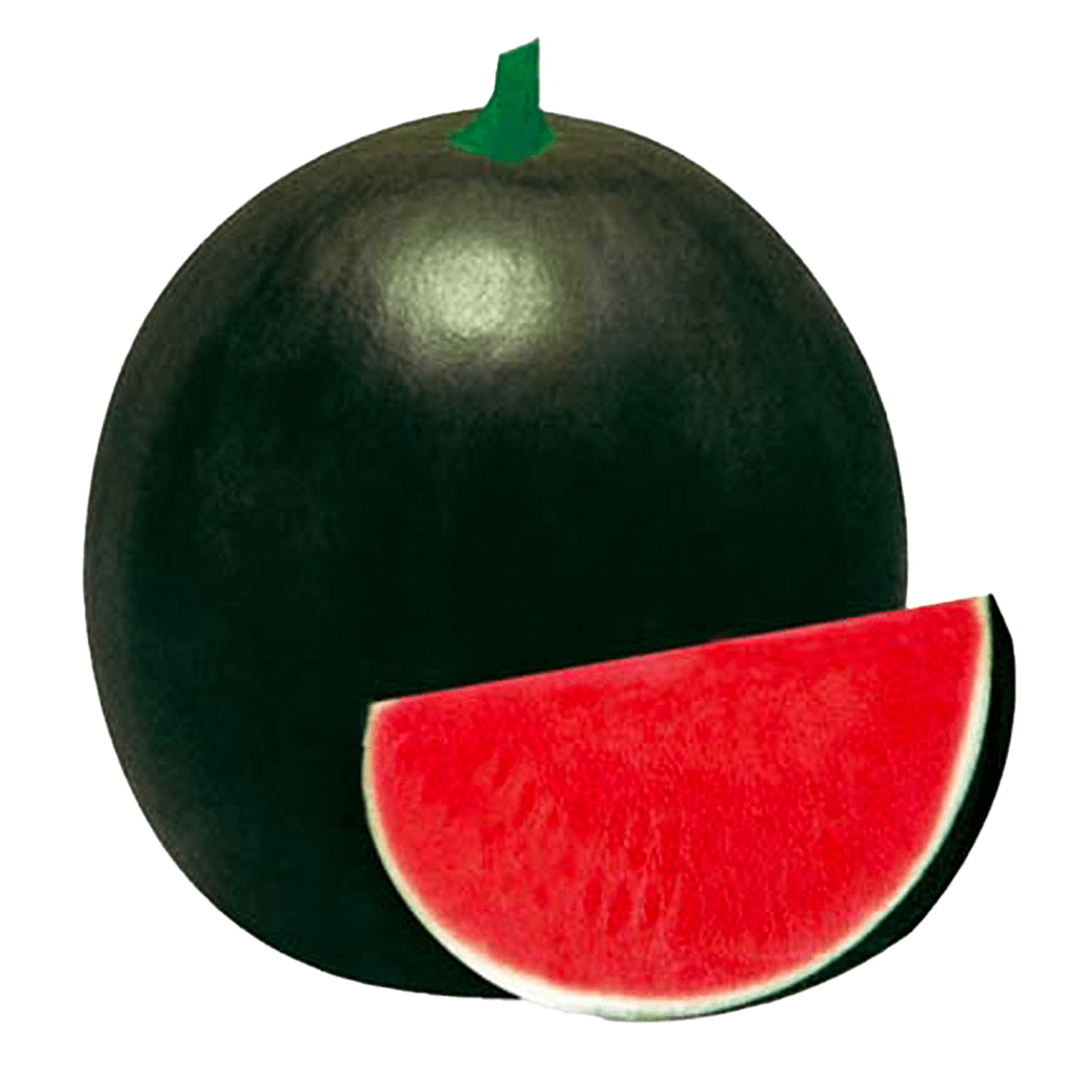 بطيخ أخضر تركي بدون بذور