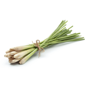 عشبة الليمون