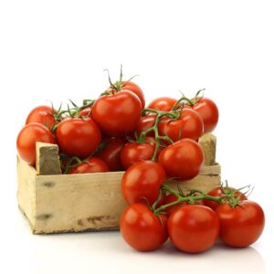 Red Tomato Bunch Holland