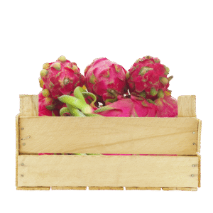 Dragon Fruit Vietnam