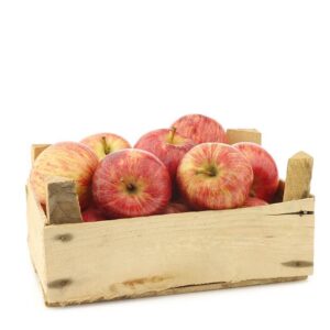 Fresh Fuji Apple China