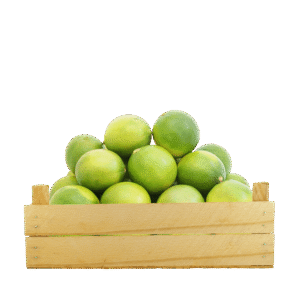 Seedless Lime Vietnam