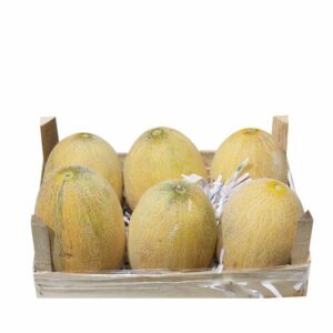 Sweet Melon Iran