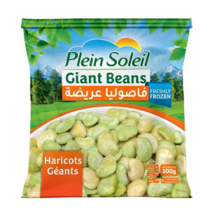 بلان سولي فاصوليا بيضاء كبيرة