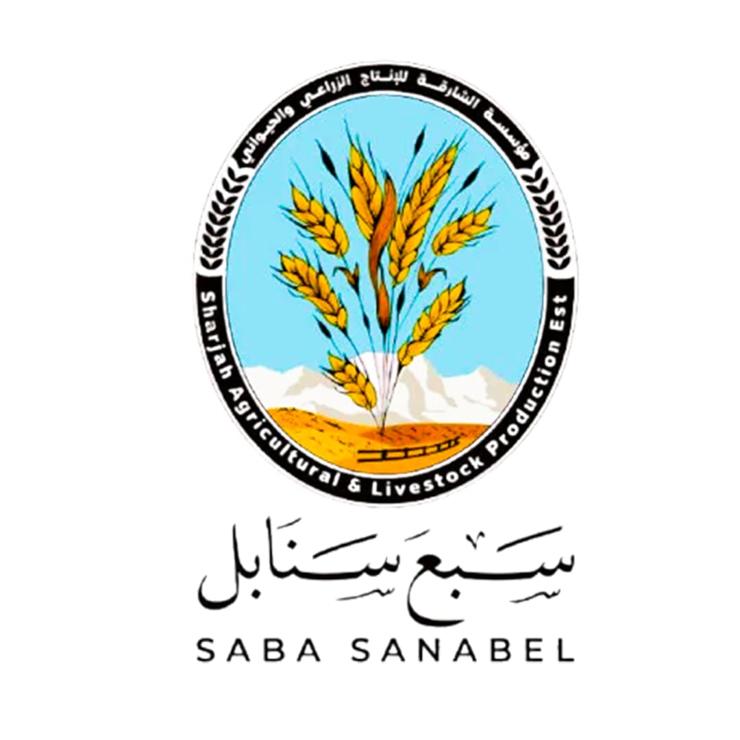 سنابل سبأ